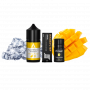 Набор для самозамеса Alchemist Salt Iceberg Mango (Манго Лёд, 50 мг, 30 мл)