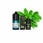 Набор для самозамеса Alchemist Salt Spearmint (Мята, 50 мг, 30 мл)