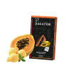 Кальянная чайная смесь Bagator Hookah Tea Papaya Sorbet (Папайя Сорбет, 50 г)