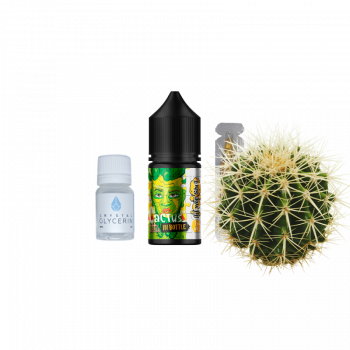 Набор для самозамеса In Bottle Puzzle Cactus (Кактус, 50 мг, 30 мл)