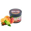 Табак Molfar Chill Line Цитрусовый Персик (40 г)
