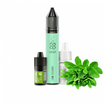 Набор для самозамеса Lucky Spearmint (Мята, 65 мг, 30 мл)