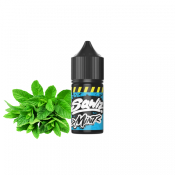 Жидкость Sqwiz Mint (Мята, 50 мг, 30 мл)