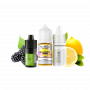 Набор для самозамеса Elfliq Blackberry Lemon (Черника Лимон, 50 мг, 30 мл)