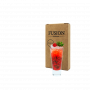 Табак Fusion Classic Raspberry Mojito (Малиновое Мохито, 100 г)