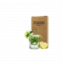 Табак Fusion Classic Mojito (Мохито, 100 г)