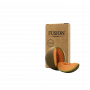 Табак Fusion Classic Melon (Дыня, 100 г)