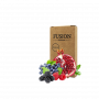 Табак Fusion Classic Pomegranate Berry (Гранат Ягоды, 100 г)