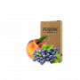 Табак Fusion Classic Blueberry Peach (Черника Персик, 100 г)