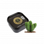 Arawak Light Cactus (250 г)